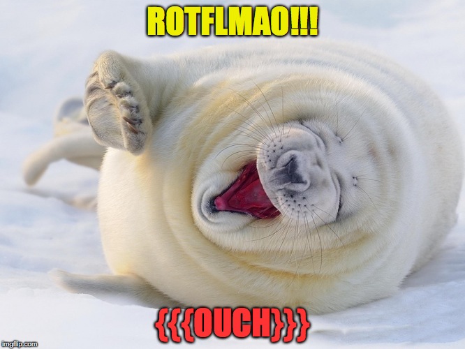 ROTFLMAO!!! {{{OUCH}}} | made w/ Imgflip meme maker