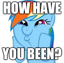 Rainbow Dash so awesome | HOW HAVE YOU BEEN? | image tagged in rainbow dash so awesome | made w/ Imgflip meme maker