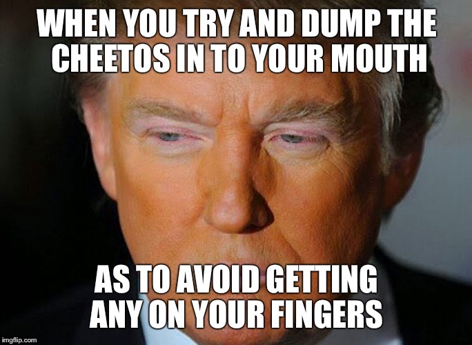 WHEN YOU TRY AND DUMP THE CHEETOS IN TO YOUR MOUTH; AS TO AVOID GETTING ANY ON YOUR FINGERS | image tagged in donald trump,cheetos,trump grabs that pussy | made w/ Imgflip meme maker