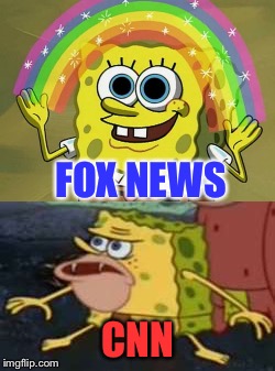 FOX NEWS; CNN | image tagged in fox news,cnn | made w/ Imgflip meme maker