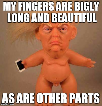 MY FINGERS ARE BIGLY LONG AND BEAUTIFUL; AS ARE OTHER PARTS | made w/ Imgflip meme maker
