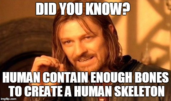 One Does Not Simply | DID YOU KNOW? HUMAN CONTAIN ENOUGH BONES TO CREATE A HUMAN SKELETON | image tagged in memes | made w/ Imgflip meme maker