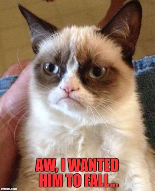 Grumpy Cat Meme | AW, I WANTED HIM TO FALL... | image tagged in memes,grumpy cat | made w/ Imgflip meme maker