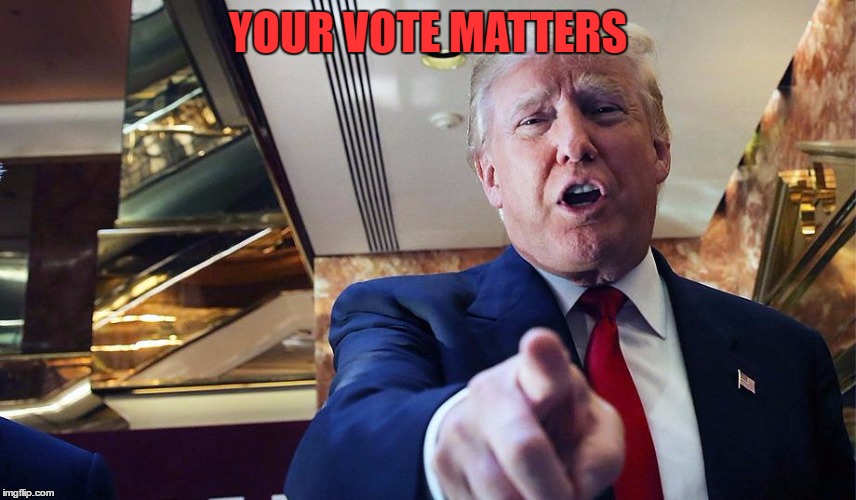 Trump I Want You | YOUR VOTE MATTERS | image tagged in trump burn | made w/ Imgflip meme maker