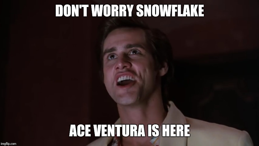 DON'T WORRY SNOWFLAKE; ACE VENTURA IS HERE | image tagged in ace ventura | made w/ Imgflip meme maker