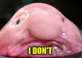 I DON'T | made w/ Imgflip meme maker