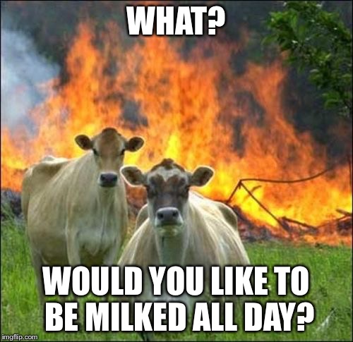 Evil Cows | WHAT? WOULD YOU LIKE TO BE MILKED ALL DAY? | image tagged in memes,evil cows | made w/ Imgflip meme maker