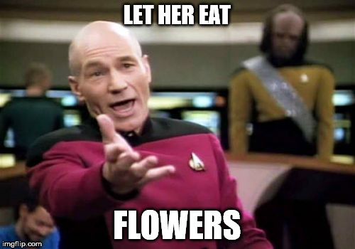 Picard Wtf Meme | LET HER EAT FLOWERS | image tagged in memes,picard wtf | made w/ Imgflip meme maker