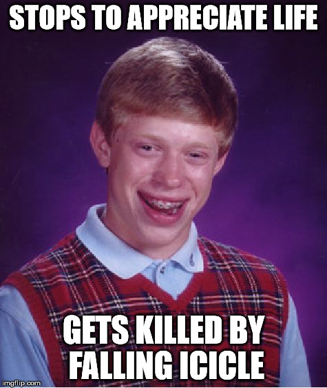 Bad Luck Brian Meme | STOPS TO APPRECIATE LIFE GETS KILLED BY FALLING ICICLE | image tagged in memes,bad luck brian | made w/ Imgflip meme maker