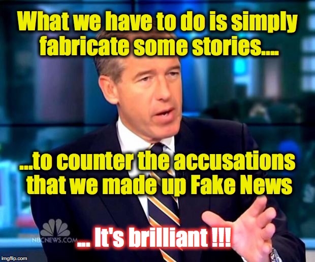 Brian Williams | What we have to do is simply fabricate some stories.... ...to counter the accusations that we made up Fake News; ... It's brilliant !!! | image tagged in brian williams | made w/ Imgflip meme maker