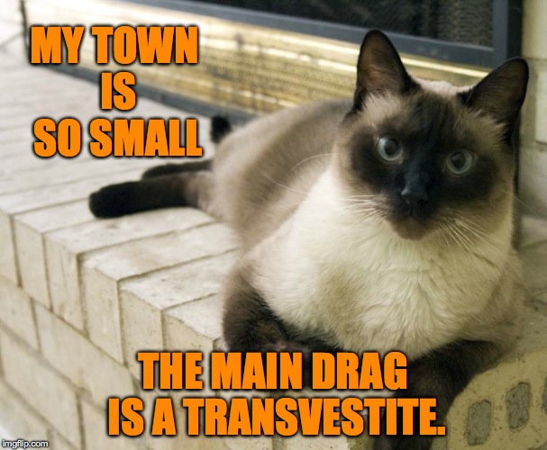 how small is it? | MY TOWN IS SO SMALL; THE MAIN DRAG IS A TRANSVESTITE. | image tagged in - | made w/ Imgflip meme maker