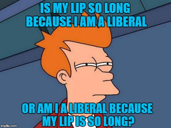Which came first the liberal or the lip? | IS MY LIP SO LONG BECAUSE I AM A LIBERAL; OR AM I A LIBERAL BECAUSE MY LIP IS SO LONG? | image tagged in memes,futurama fry,liberal | made w/ Imgflip meme maker