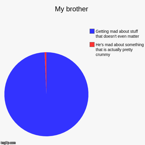 My brother | He's mad about something that is actually pretty crummy, Getting mad about stuff that doesn't even matter | image tagged in funny,pie charts | made w/ Imgflip chart maker