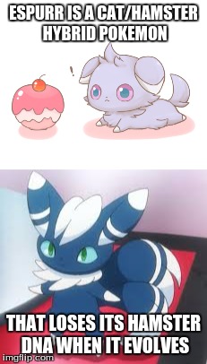Theory about espurr |  ESPURR IS A CAT/HAMSTER HYBRID POKEMON; THAT LOSES ITS HAMSTER DNA WHEN IT EVOLVES | image tagged in meowstic,espurr | made w/ Imgflip meme maker