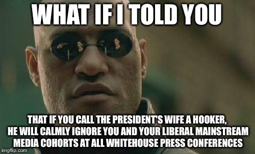 Matrix Morpheus Meme | WHAT IF I TOLD YOU; THAT IF YOU CALL THE PRESIDENT'S WIFE A HOOKER, HE WILL CALMLY IGNORE YOU AND YOUR LIBERAL MAINSTREAM MEDIA COHORTS AT ALL WHITEHOUSE PRESS CONFERENCES | image tagged in memes,matrix morpheus | made w/ Imgflip meme maker