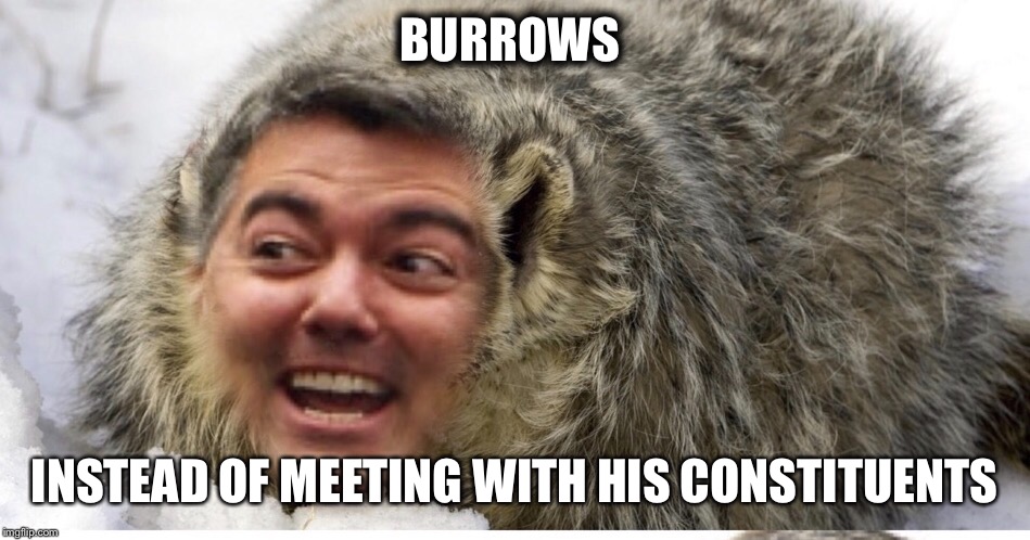 Badger Cory Gardner | BURROWS; INSTEAD OF MEETING WITH HIS CONSTITUENTS | image tagged in cory,senators,political meme,political,republican,republicans | made w/ Imgflip meme maker