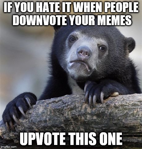 Confession Bear Meme | IF YOU HATE IT WHEN PEOPLE DOWNVOTE YOUR MEMES; UPVOTE THIS ONE | image tagged in memes,confession bear | made w/ Imgflip meme maker