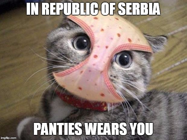 IN REPUBLIC OF SERBIA |  IN REPUBLIC OF SERBIA; PANTIES WEARS YOU | image tagged in republic,serbia,panties,wear,you,cat | made w/ Imgflip meme maker