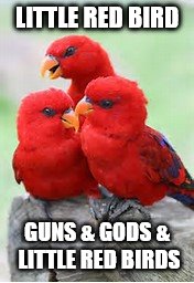 DMB Little Red Bird | LITTLE RED BIRD; GUNS & GODS & LITTLE RED BIRDS | image tagged in dmb,dave matthews band,little red bird,guns  gods  little red birds | made w/ Imgflip meme maker