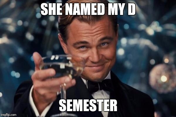 Leonardo Dicaprio Cheers Meme | SHE NAMED MY D; SEMESTER | image tagged in memes,leonardo dicaprio cheers | made w/ Imgflip meme maker