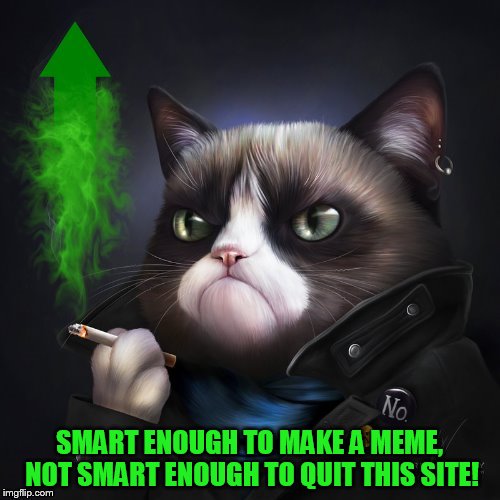 SMART ENOUGH TO MAKE A MEME, NOT SMART ENOUGH TO QUIT THIS SITE! | made w/ Imgflip meme maker