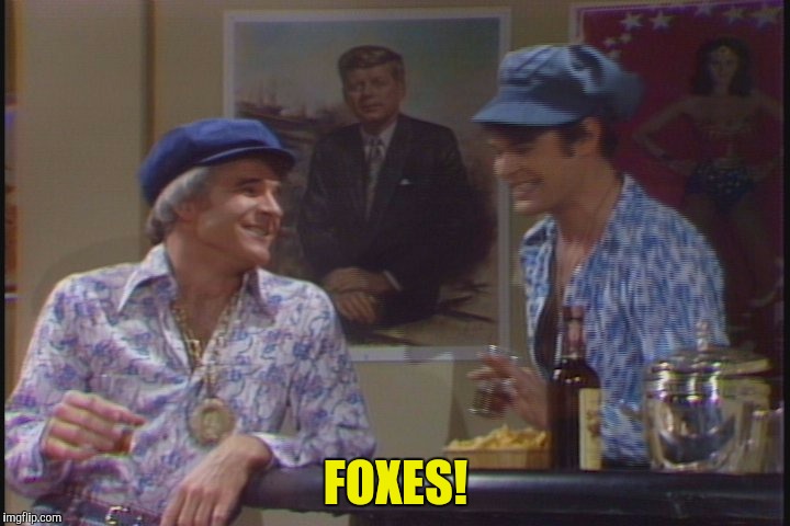 FOXES! | made w/ Imgflip meme maker
