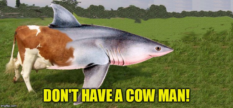 DON'T HAVE A COW MAN! | made w/ Imgflip meme maker