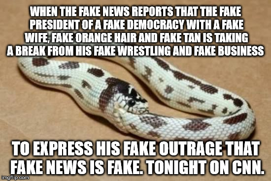 Fake News | WHEN THE FAKE NEWS REPORTS THAT THE FAKE PRESIDENT OF A FAKE DEMOCRACY WITH A FAKE WIFE, FAKE ORANGE HAIR AND FAKE TAN IS TAKING A BREAK FROM HIS FAKE WRESTLING AND FAKE BUSINESS; TO EXPRESS HIS FAKE OUTRAGE THAT FAKE NEWS IS FAKE. TONIGHT ON CNN. | image tagged in memes,fake news,circle of life,wake me up inside,bad luck brian | made w/ Imgflip meme maker