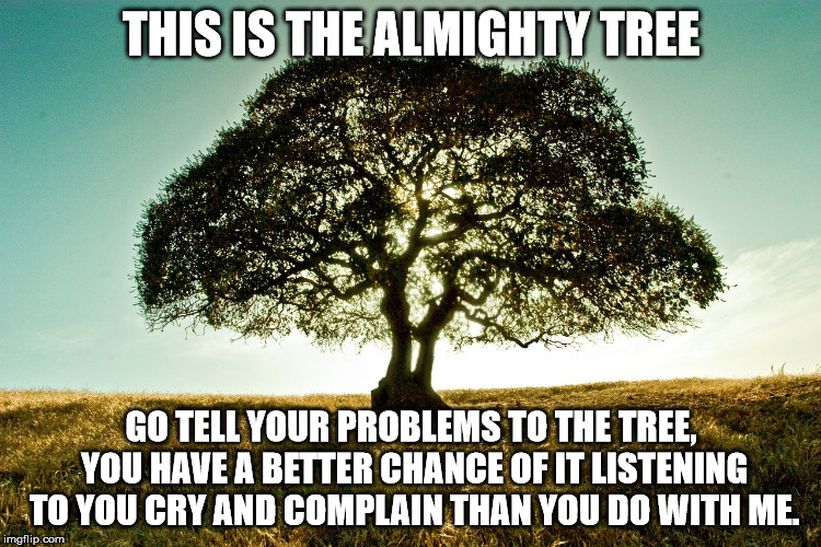 THIS IS THE ALMIGHTY TREE; GO TELL YOUR PROBLEMS TO THE TREE, YOU HAVE A BETTER CHANCE OF IT LISTENING TO YOU CRY AND COMPLAIN THAN YOU DO WITH ME. | image tagged in the almighty tree | made w/ Imgflip meme maker