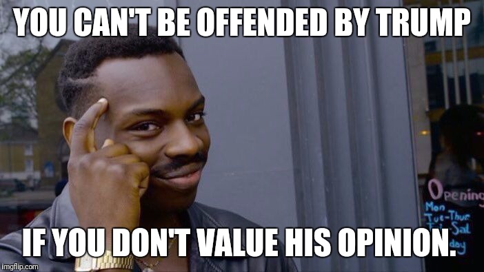 Roll Safe Think About It | YOU CAN'T BE OFFENDED BY TRUMP; IF YOU DON'T VALUE HIS OPINION. | image tagged in roll safe think about it | made w/ Imgflip meme maker