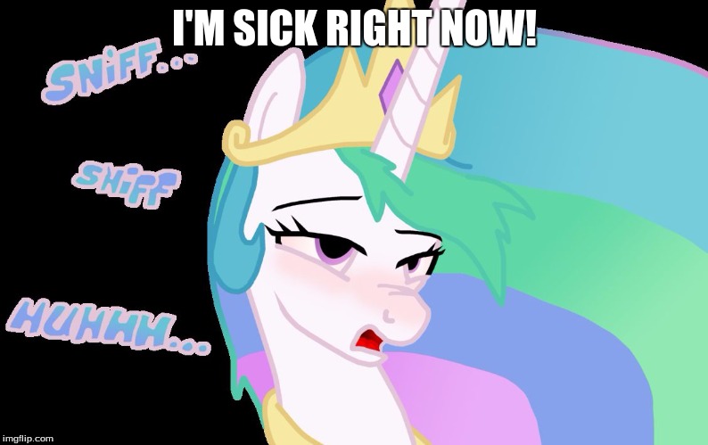 royal sick pony | I'M SICK RIGHT NOW! | image tagged in royal sick pony | made w/ Imgflip meme maker