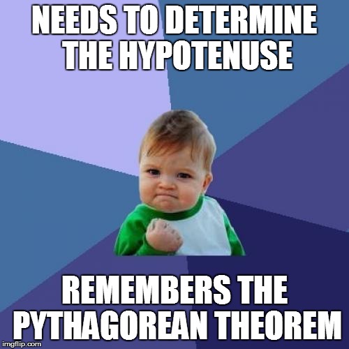 Success Kid Meme | NEEDS TO DETERMINE THE HYPOTENUSE REMEMBERS THE PYTHAGOREAN THEOREM | image tagged in memes,success kid | made w/ Imgflip meme maker