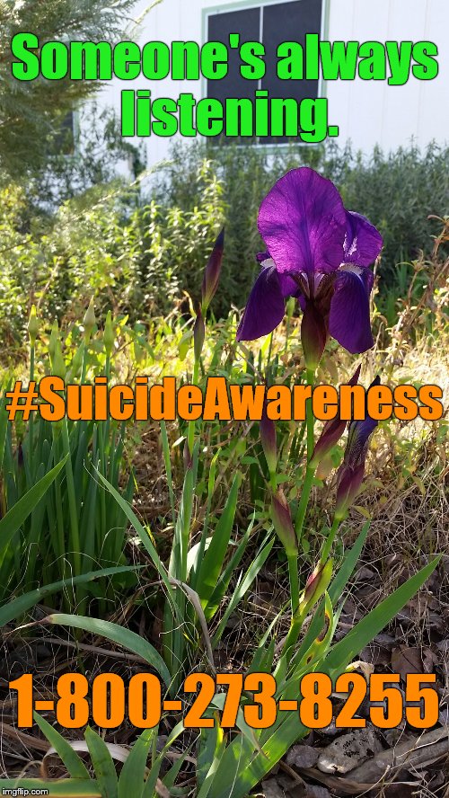 PSA: Someone's always listening.   
#SuicideAwareness.   1-800-273-8255 | Someone's always listening. #SuicideAwareness; 1-800-273-8255 | image tagged in igo iris,psa,someone's always listening,suicide awareness | made w/ Imgflip meme maker