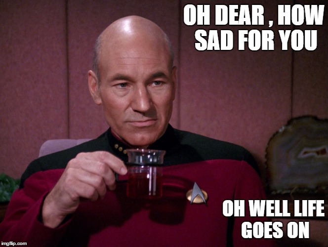 OH DEAR , HOW SAD FOR YOU; OH WELL LIFE GOES ON | image tagged in picard thinking | made w/ Imgflip meme maker