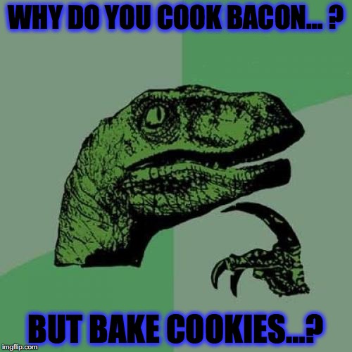 Philosoraptor Meme | WHY DO YOU COOK BACON… ? BUT BAKE COOKIES…? | image tagged in memes,philosoraptor | made w/ Imgflip meme maker