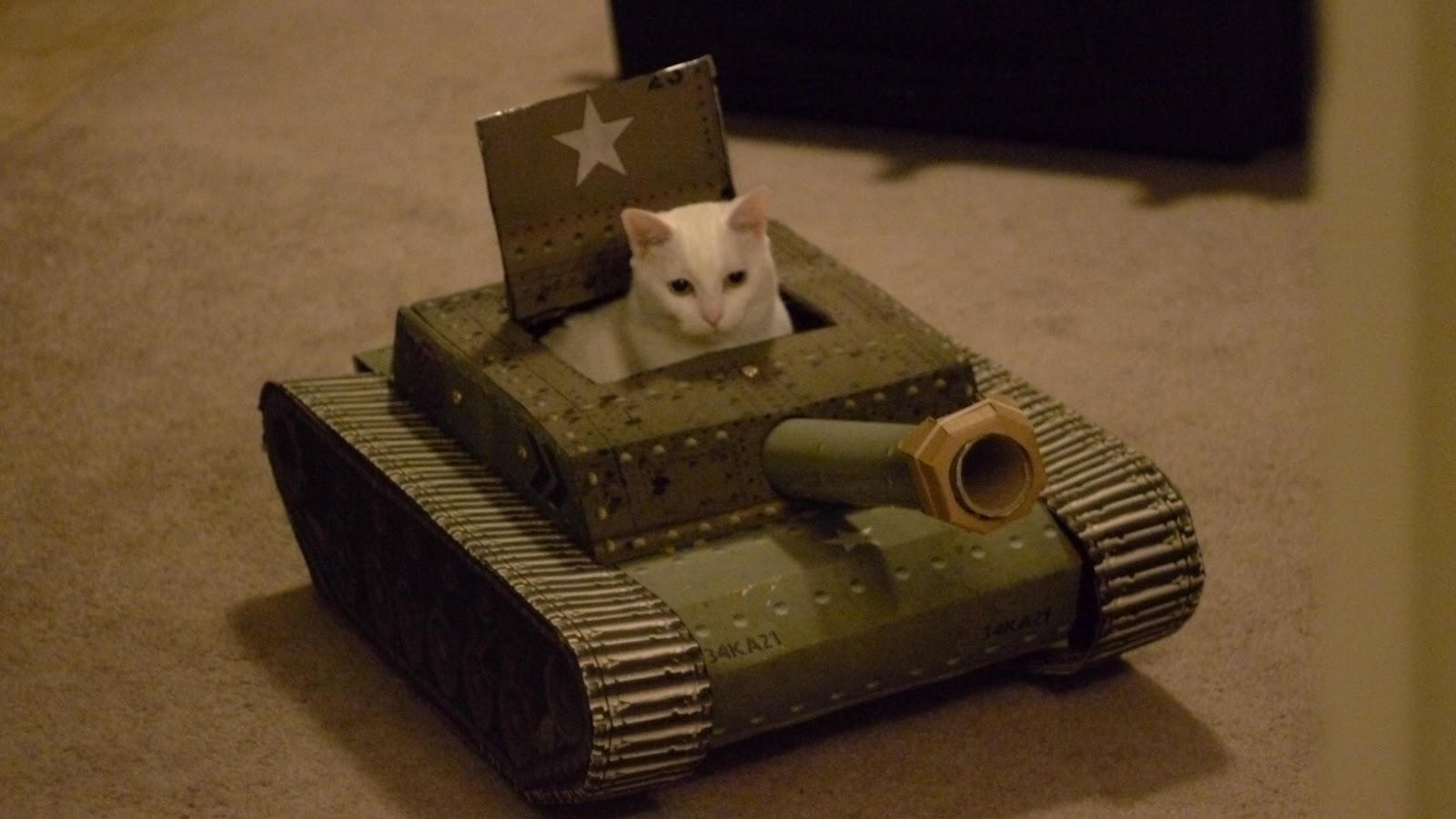 Cat driving a tank Blank Meme Template