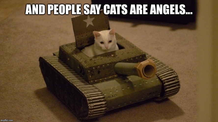 Cat driving a tank | AND PEOPLE SAY CATS ARE ANGELS... | image tagged in cat driving a tank | made w/ Imgflip meme maker