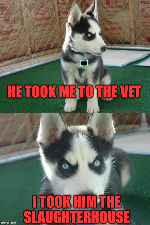 Insanity Puppy | HE TOOK ME TO THE VET; I TOOK HIM THE SLAUGHTERHOUSE | image tagged in memes,insanity puppy | made w/ Imgflip meme maker