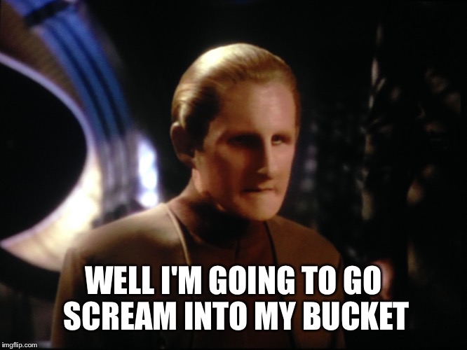 WELL I'M GOING TO GO SCREAM INTO MY BUCKET | image tagged in odo | made w/ Imgflip meme maker