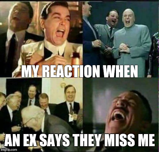 MY REACTION WHEN; AN EX SAYS THEY MISS ME | image tagged in ex | made w/ Imgflip meme maker