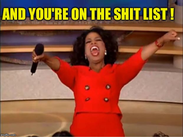 Oprah You Get A Meme | AND YOU'RE ON THE SHIT LIST ! | image tagged in memes,oprah you get a | made w/ Imgflip meme maker