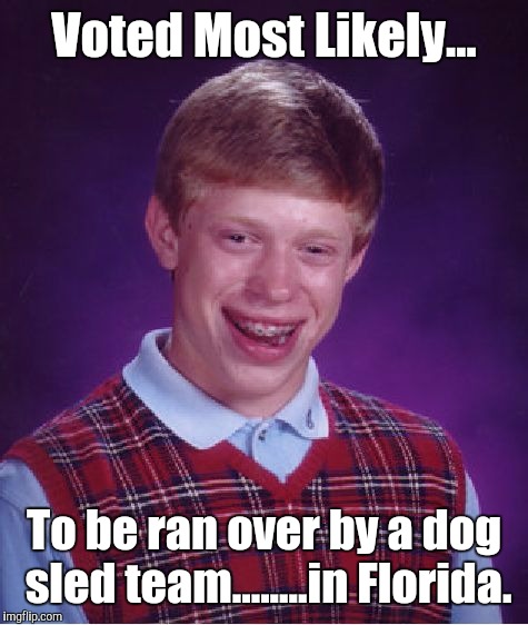 Brian Bickerwitz | Voted Most Likely... To be ran over by a dog sled team........in Florida. | image tagged in memes,voted most likely,to be,funny,bad luck brian | made w/ Imgflip meme maker