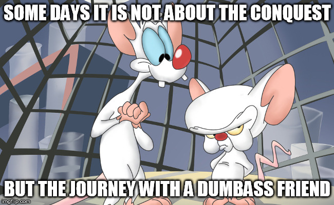 Cartoon Event | SOME DAYS IT IS NOT ABOUT THE CONQUEST; BUT THE JOURNEY WITH A DUMBASS FRIEND | image tagged in cartoon,pinky and the brain | made w/ Imgflip meme maker