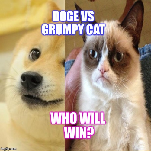 DOGE VS GRUMPY CAT; WHO WILL WIN? | made w/ Imgflip meme maker