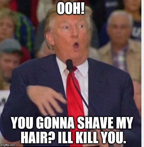 Donald Trump tho | OOH! YOU GONNA SHAVE MY HAIR? ILL KILL YOU. | image tagged in donald trump tho | made w/ Imgflip meme maker