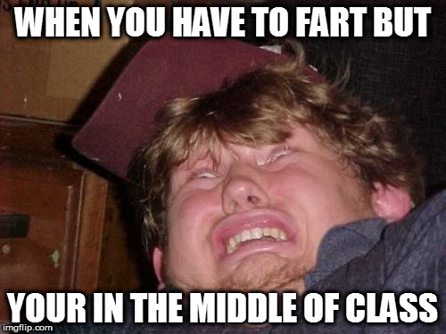 WTF | WHEN YOU HAVE TO FART BUT; YOUR IN THE MIDDLE OF CLASS | image tagged in memes,wtf | made w/ Imgflip meme maker