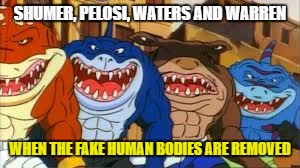 They Are Really Alien Monsters ! | SHUMER, PELOSI, WATERS AND WARREN; WHEN THE FAKE HUMAN BODIES ARE REMOVED | image tagged in chuck schumer,democrats,political meme | made w/ Imgflip meme maker