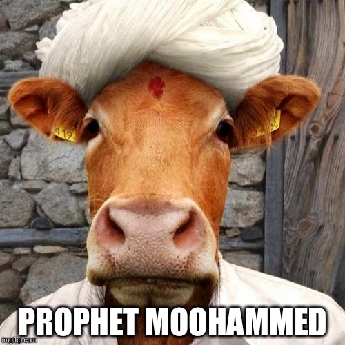 Moohammed | PROPHET MOOHAMMED | image tagged in moohammed | made w/ Imgflip meme maker