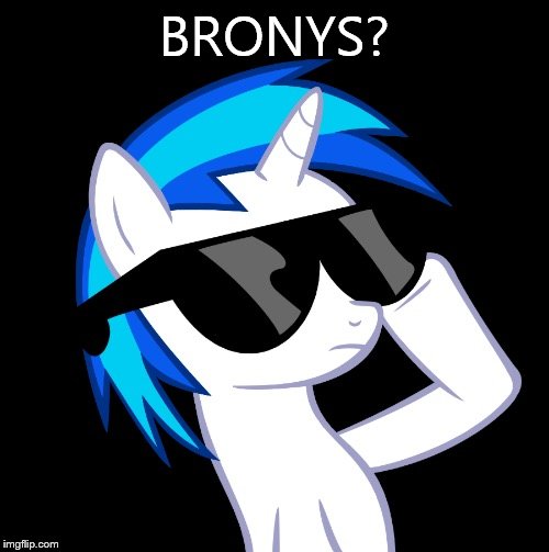 Guys who are the top 4 bronys on imgflip? Details in the comments | BRONYS? | image tagged in dj pon 3 sunglasses | made w/ Imgflip meme maker