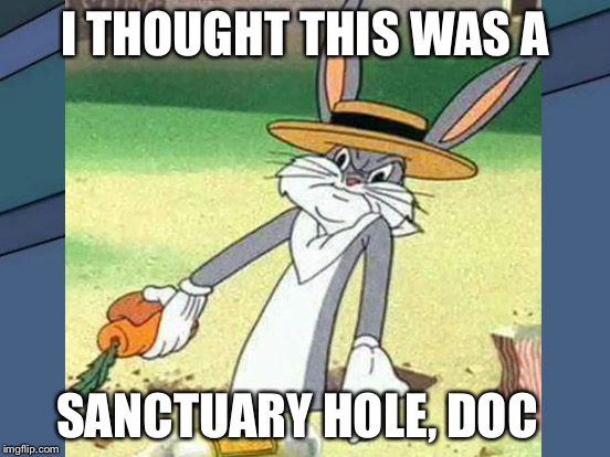 I THOUGHT THIS WAS A SANCTUARY HOLE, DOC | made w/ Imgflip meme maker